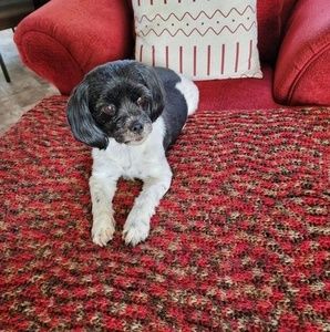 Meet your Posher, Lorraine